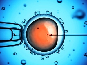 PAPER, 派博，what is meaning