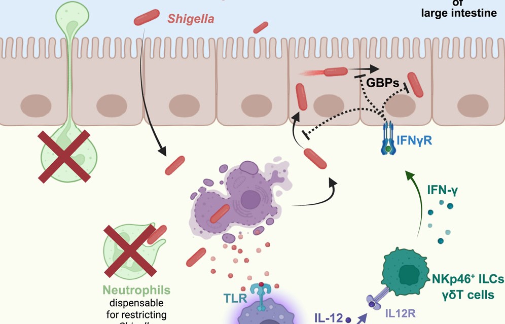 科技圖表專業(yè)制作